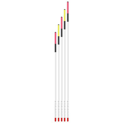 SET ANTENA WAGGLER CRALUSSO - Imagen 2