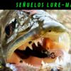 Señuelos Lure-Max: Calidad y eficacia