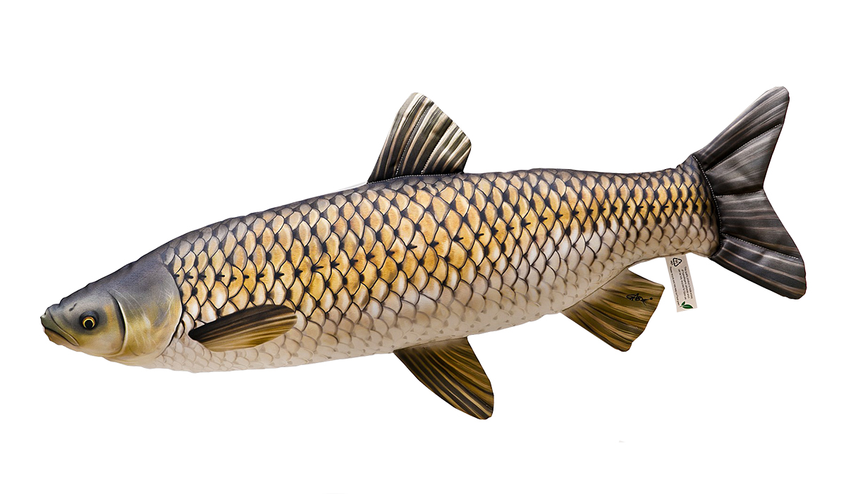COJIN CARPA CHINA BABY 41CM