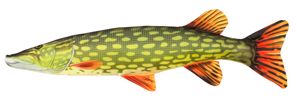 COJIN LUCIO 80CM