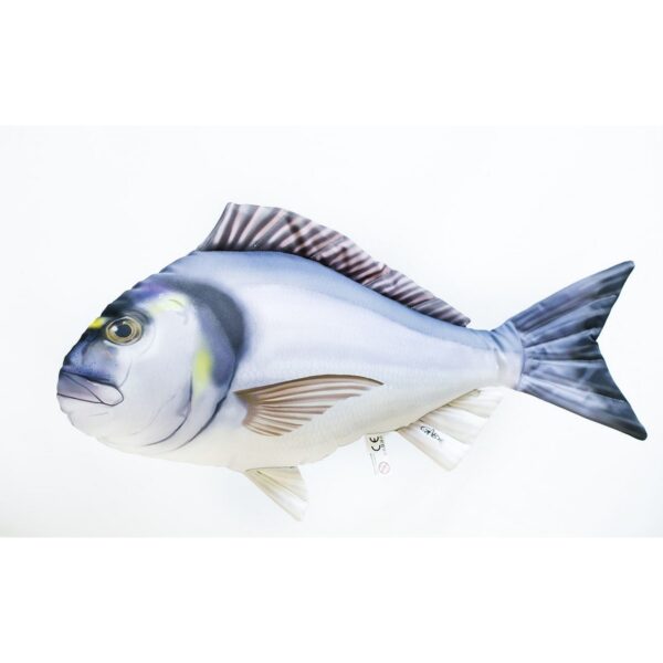 COJIN DORADA SPARUS AURATA 60CM
