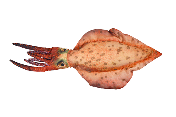 COJIN CALAMAR 76CM - Imagen 2