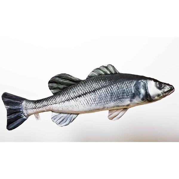 COJIN LUBINA DICENTRARCHUS LABRAX 70 CM - Imagen 2