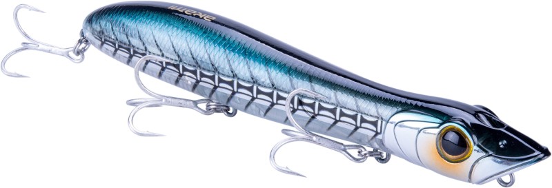 Paseante Akami Hydro Magnet