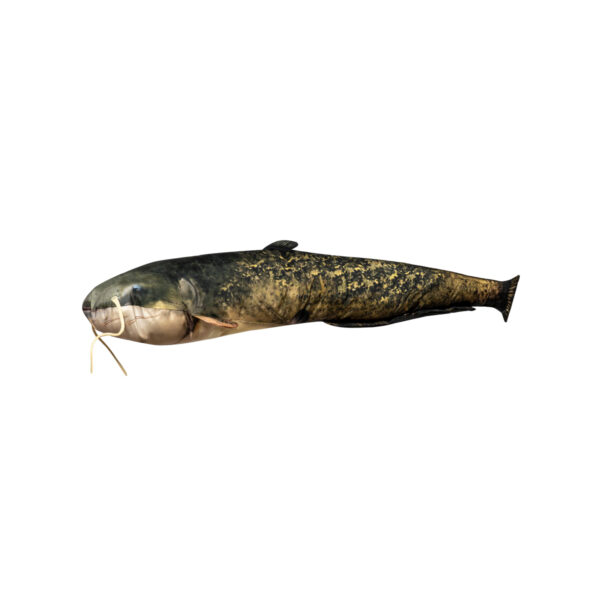 COJIN SILURO