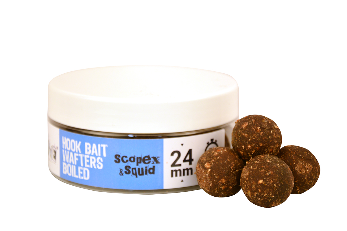 THE BIG ONE HOOK BAIT WAFTERS BOILIE